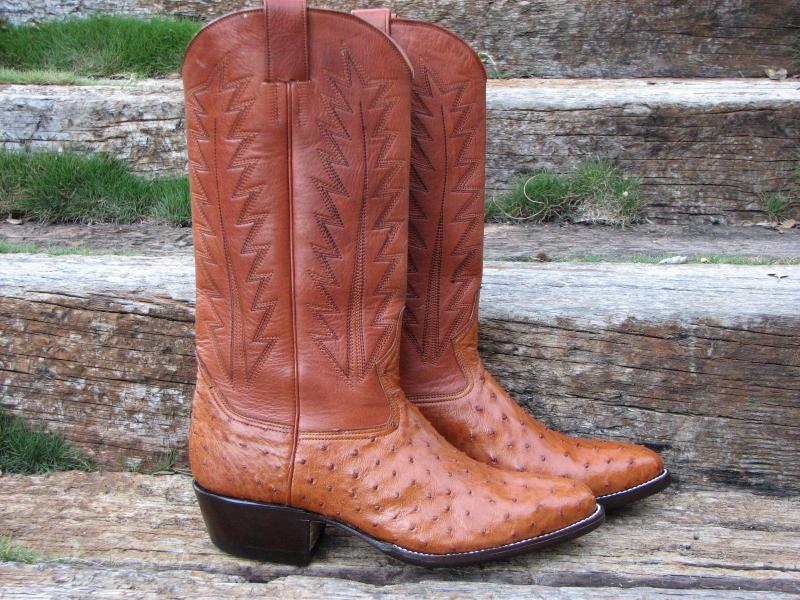 OSTRICH-COGNAC-B.JPG