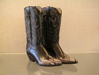 calf-python-back-TN
