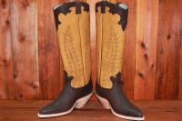 Shark-Brown-3.JPG
