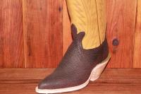 Shark-Brown-5.JPG