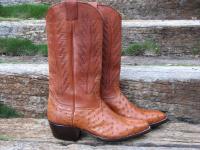 OSTRICH-COGNAC-B.JPG