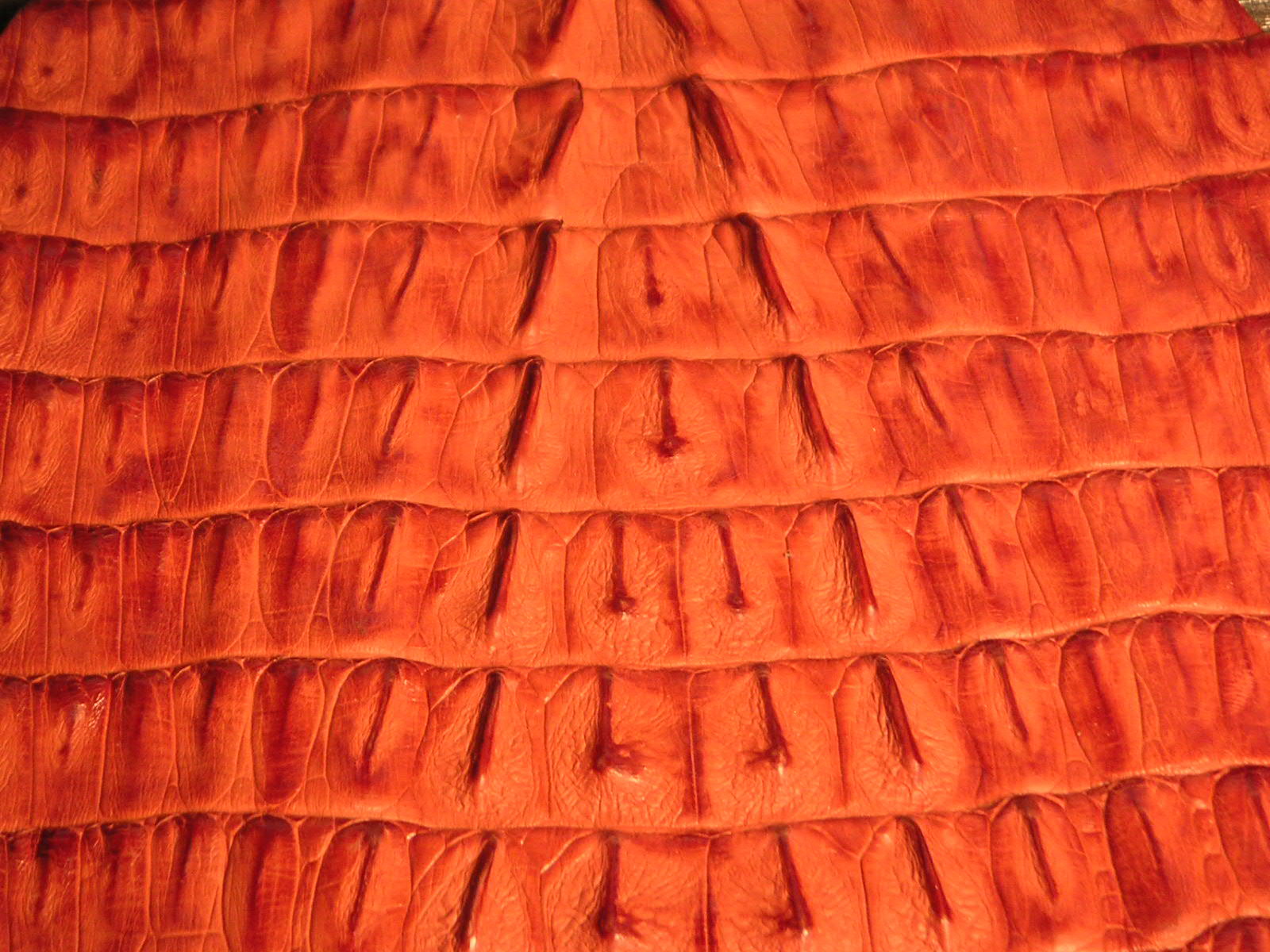 swatch-alligator-cognac-fuerte-almendra