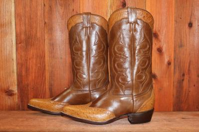 Ostrich Wing Tip Saddle