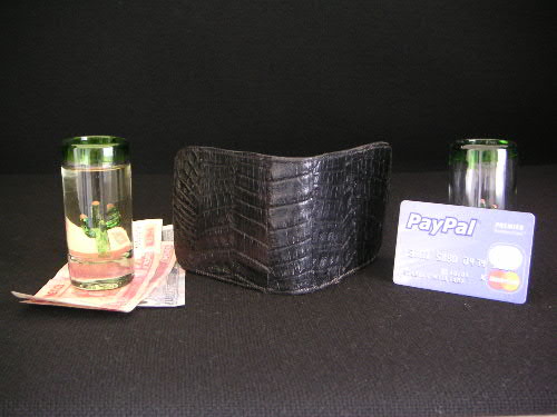 genio-wallet-caimen
